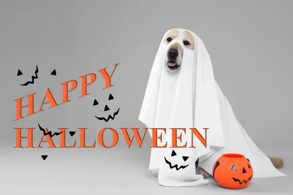 Happy Halloween from Future Mortgage Inc.